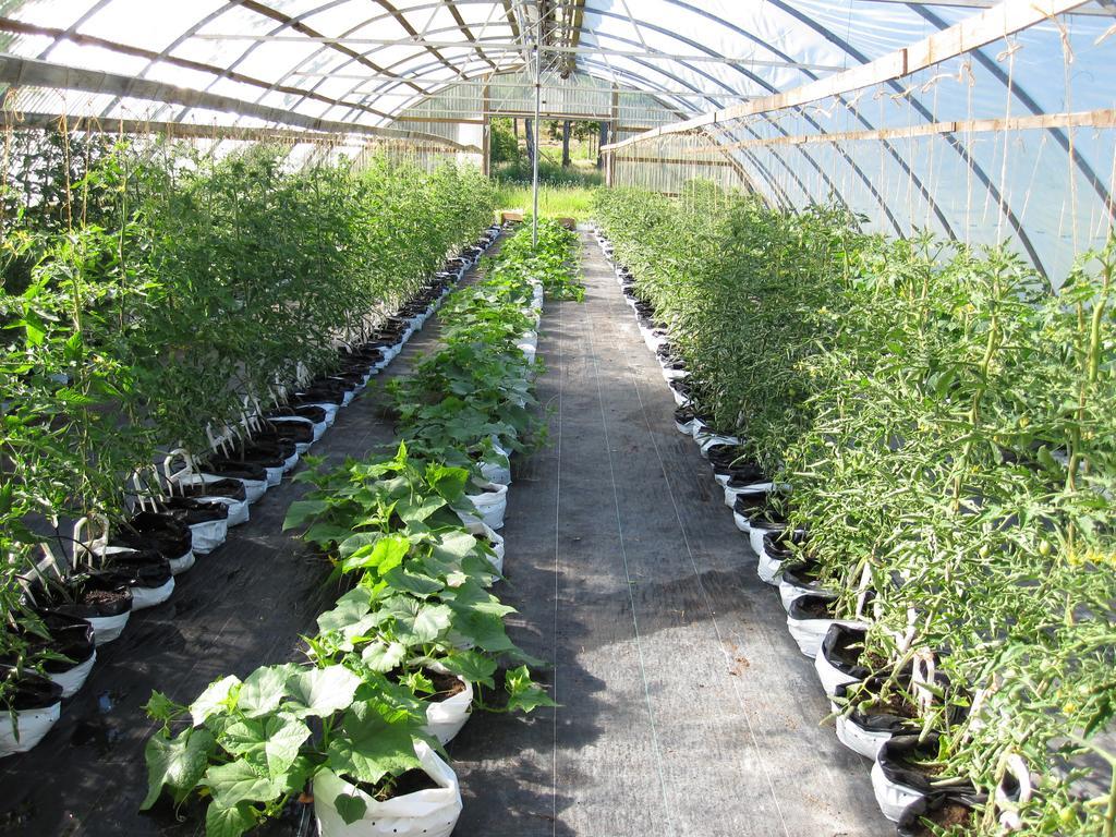 Lidköping Narebo Gardshotell מראה חיצוני תמונה